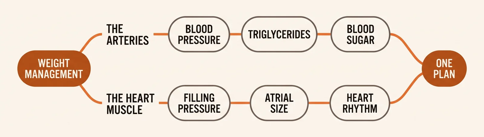 Weight management feeds two lanes, the arteries (blood pressure, triglycerides, blood sugar) and the heart muscle (filling pressure, atrial size, heart rhythm), which converge on one plan.