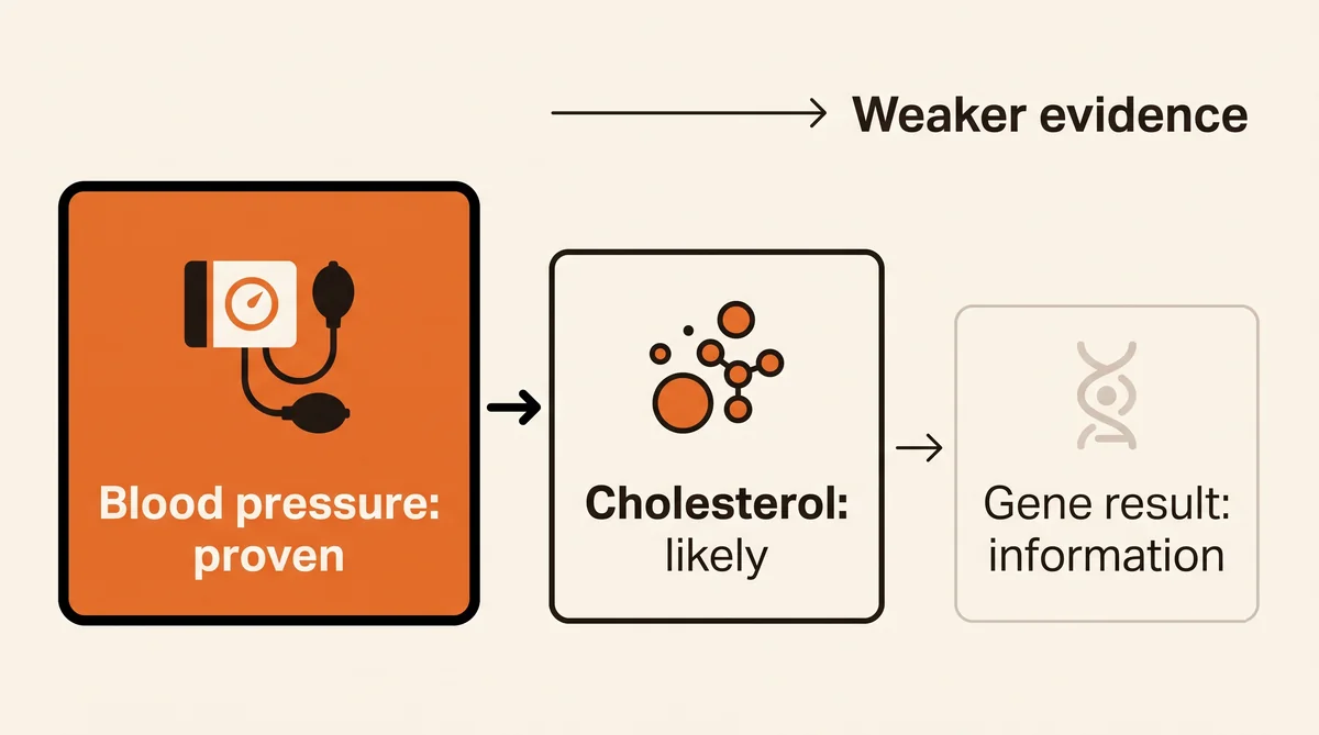 Evidence strength for protecting the brain, strongest to weakest: blood pressure proven, cholesterol likely, gene result information.