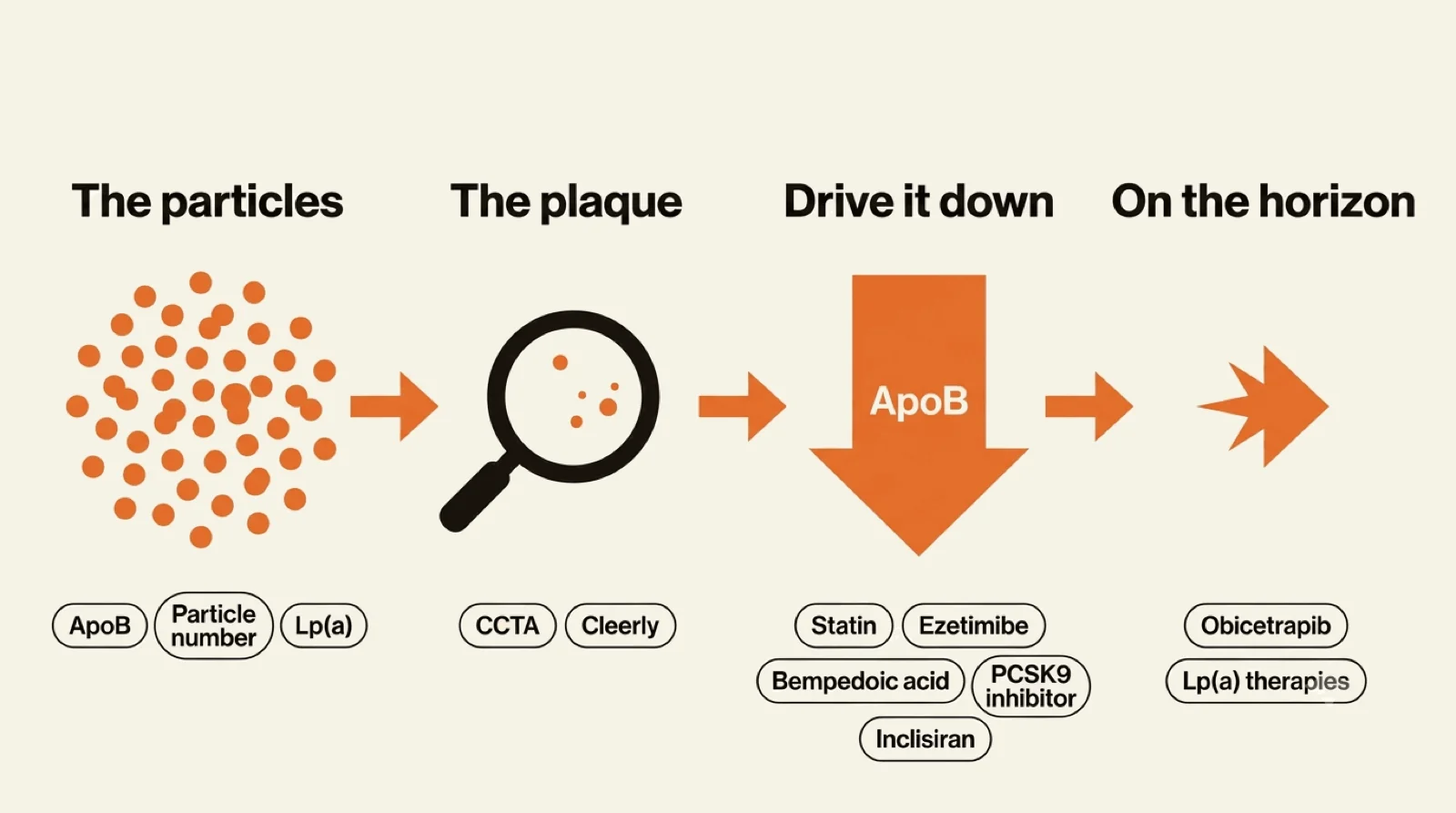 Four beats: the particles (ApoB, particle number, Lp(a)), the plaque (CCTA, Cleerly), drive ApoB down (statin, ezetimibe, bempedoic acid, PCSK9 inhibitor, inclisiran), and on the horizon (obicetrapib, Lp(a) therapies).