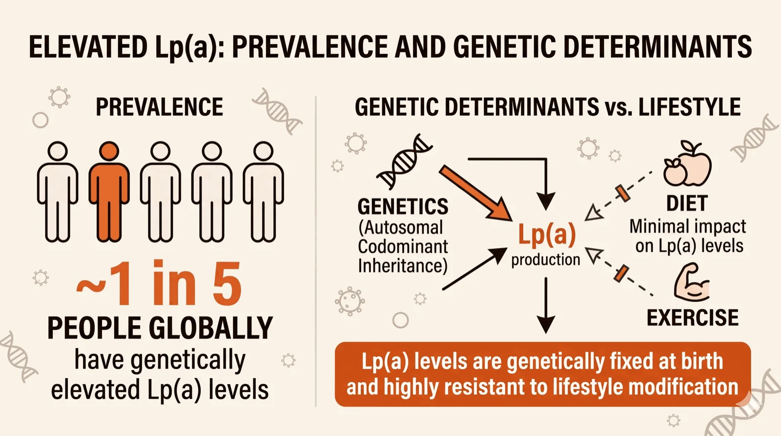 Infographic: about 1 in 5 people globally have genetically elevated Lp(a). Lp(a) production is set by genetics (autosomal codominant inheritance); diet and exercise have minimal impact. Lp(a) levels are genetically fixed at birth and highly resistant to lifestyle modification.