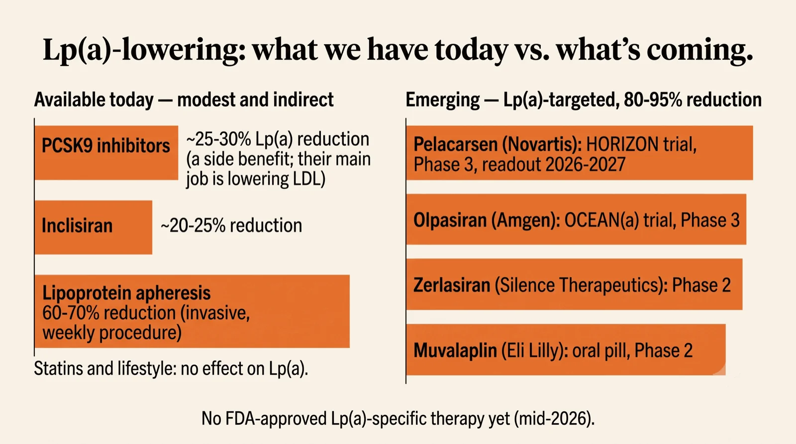 Bar chart comparing Lp(a)-lowering options. Available today and modest: PCSK9 inhibitors lower Lp(a) about 25 to 30 percent, inclisiran about 20 to 25 percent, lipoprotein apheresis 60 to 70 percent; statins and lifestyle have no effect. Emerging Lp(a)-targeted therapies (pelacarsen, olpasiran, zerlasiran, and muvalaplin) lower Lp(a) 80 to 95 percent.