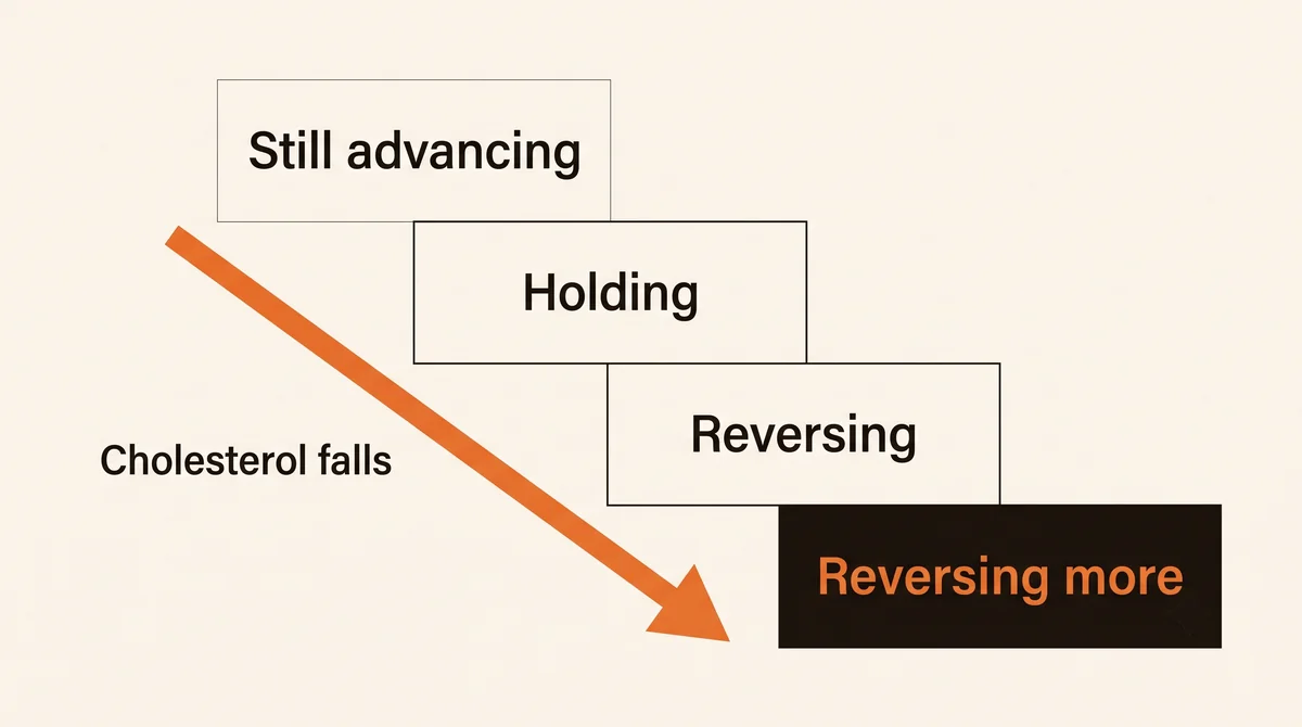 A descending staircase of four steps labelled still advancing, holding, reversing, and reversing more, with a downward arrow labelled cholesterol falls.